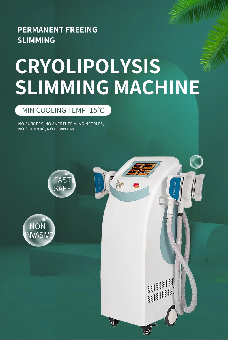 Salon Use Equipment, Fat Freezing Cryolipolysis System