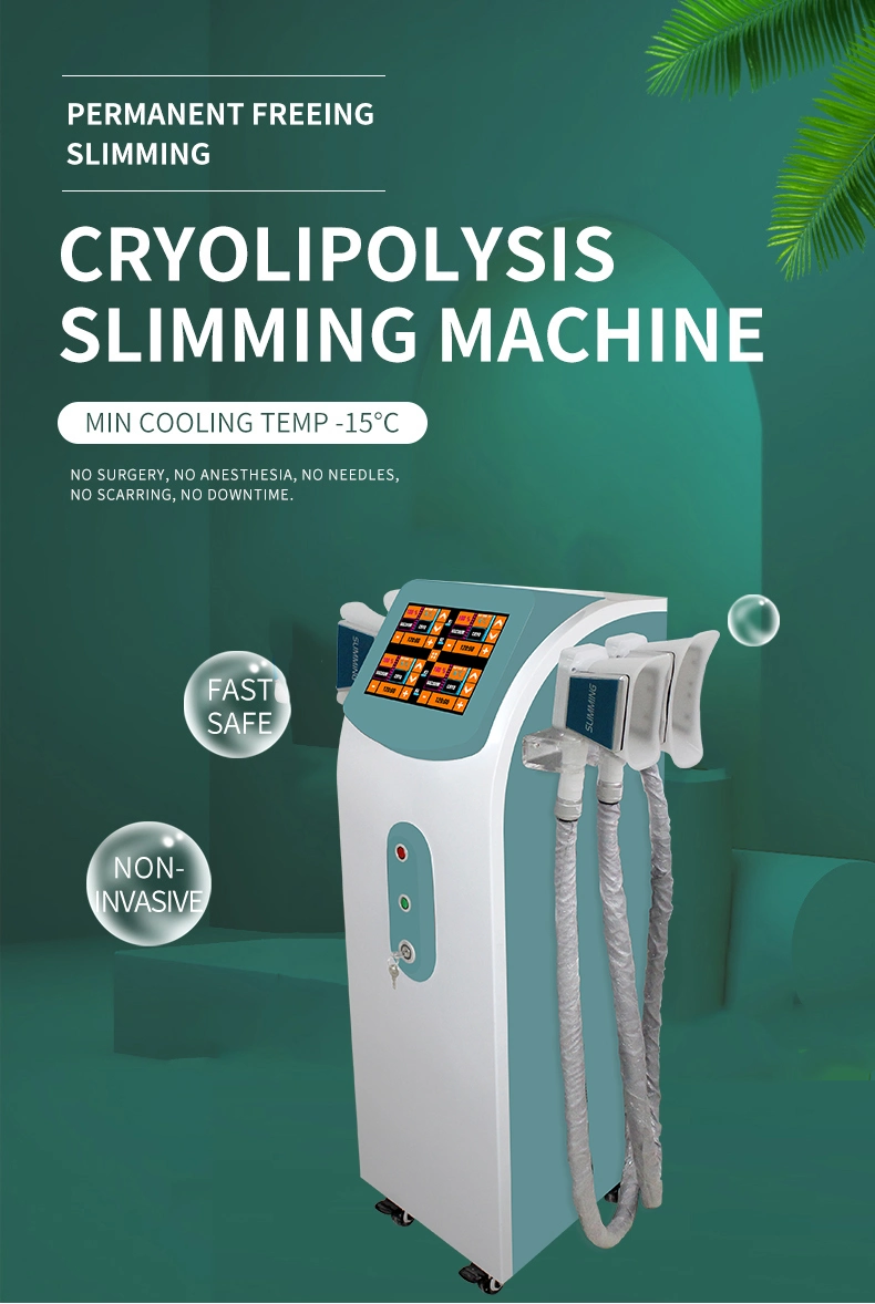 Newest Cryolipolysis Cellulite Reduction Lipolysis Beauty Machine