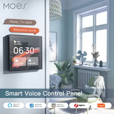Pannelli di controllo Smart Home schermo a sfioramento con Alexa integrato sostituire Amazon Alexa Acho DOT