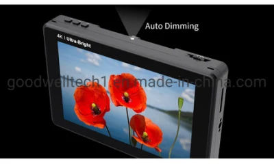 Schermo IPS TFT LCD 3D LUT touchscreen da 7&quot; ingresso 3G-SDI E uscita