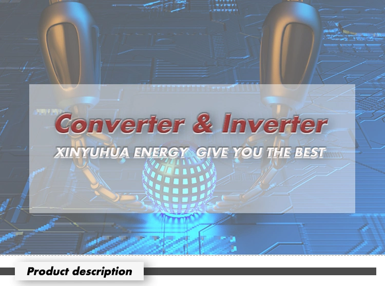 Xnwa10ks-1000ks Wind off Grid Inverter 3phase