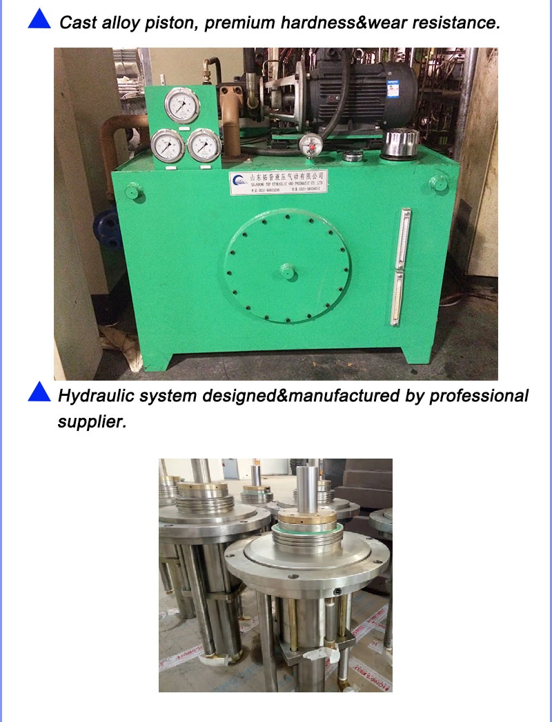 2W 3W Rubber Motorcycle Tire Automatic Bom Hydraulic Curing Press Machine with Individual PLC