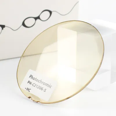1.49 Cr39 Sunglasses Photochromic Optical Lens Danyang Optical