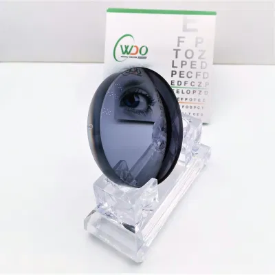 Sunglass Eye Optical Lens Spectacle Lens