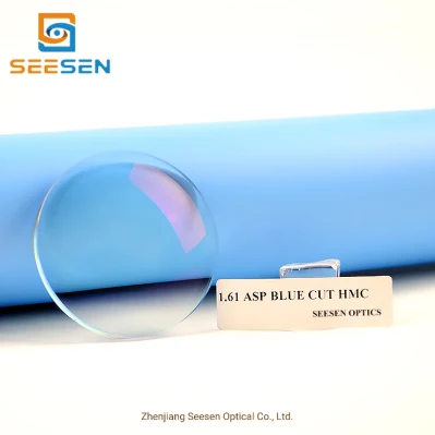 Cr39 1.499/1.56/1.61/1.67/1.74/1.59 Resin Bifocal, Progressive, Blue Light Cut, Photochromic Eyeglasses Optical Lens Prescription Optical Lens