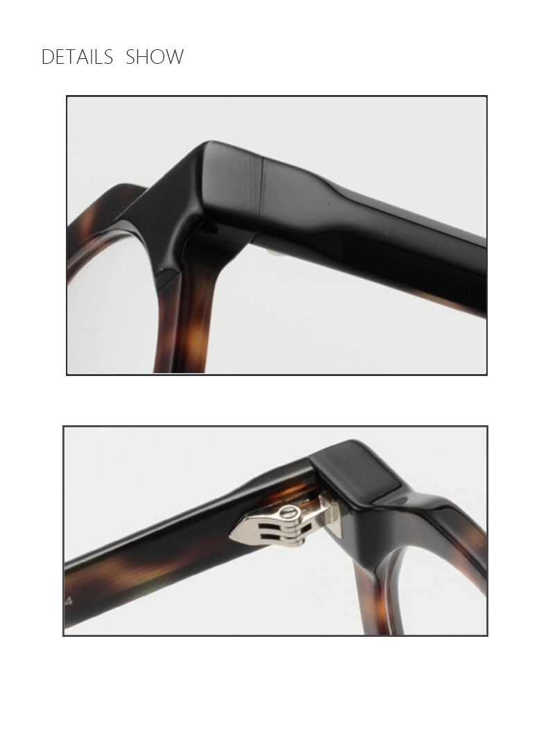 Ready to Stocktop Quality Hawksbill Turtle Round Irregular Polygonal Neutral Brand Design Handcraft with Optical Lenses