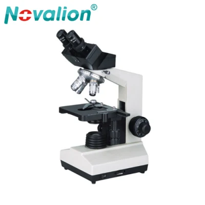  Cina fabbrica Prezzo all&prime;ingrosso Xsz-107bn professionale 4 obiettivo lente Binoculare Microscopio biologico per Student Laboratory Medical Hospital