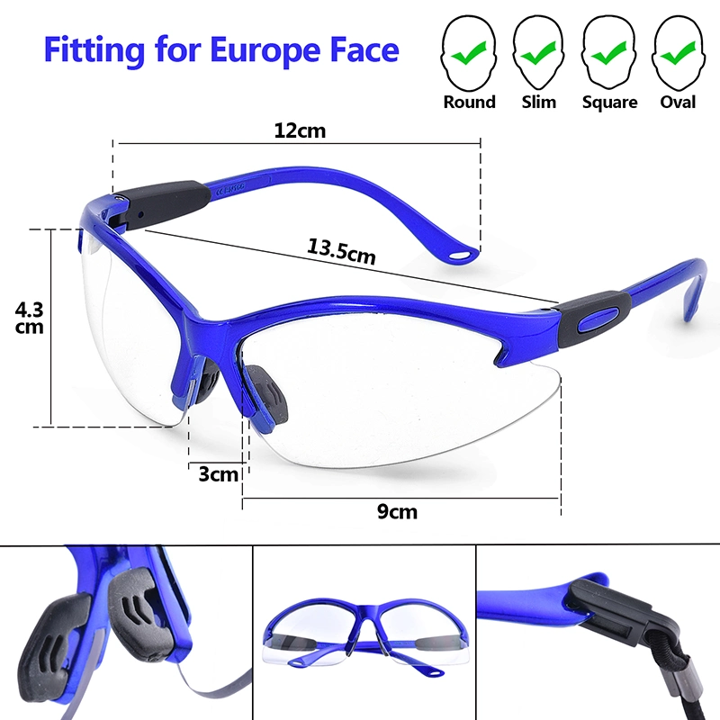 CE En 166f Anti Fog Anti Scratch Dust Proof Clear PC Lens Blue Frame Work Safety Glasses