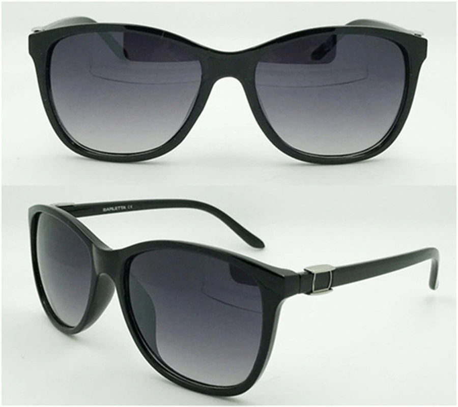 2004 PC Big Lens Smoke Frame Men Sunglasses
