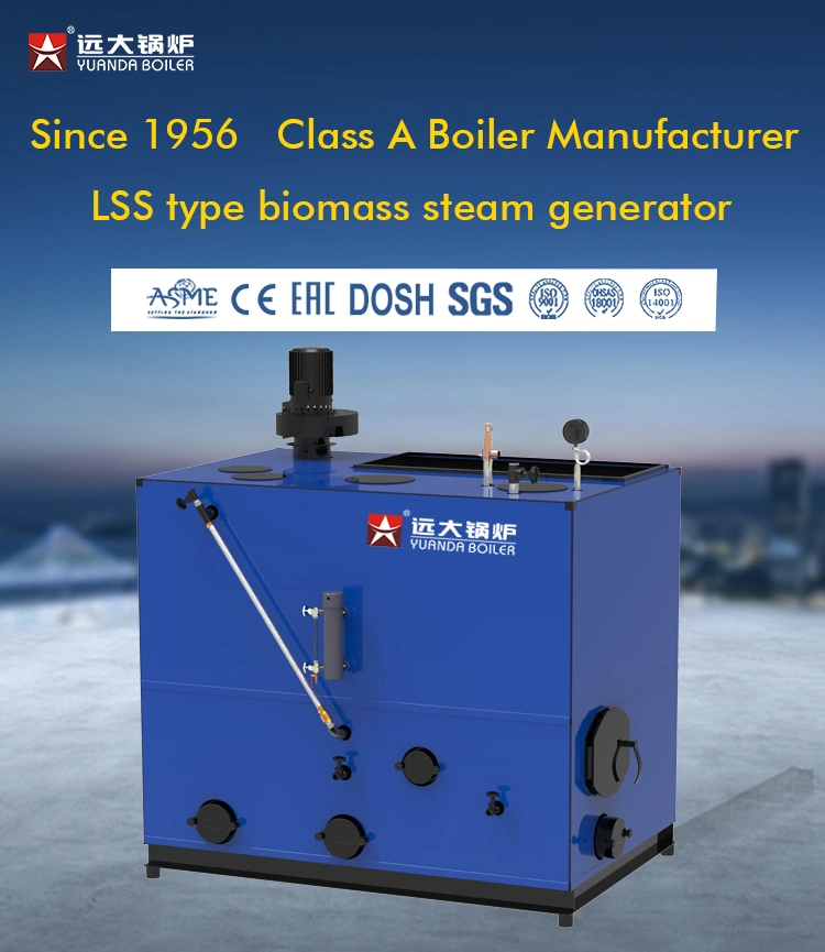 Hot Sale Easy Operation Intelligent Control 100 Kg Bioamss Steam Generator