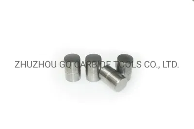 Non-Standard Tungsten Carbide Wear Part with High Performance