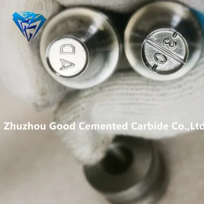 Cemented Carbide Metal Press Mold Tablet Press Mold Zo9 Zp10 Zp12 Zp33 Factory Direct Delivery