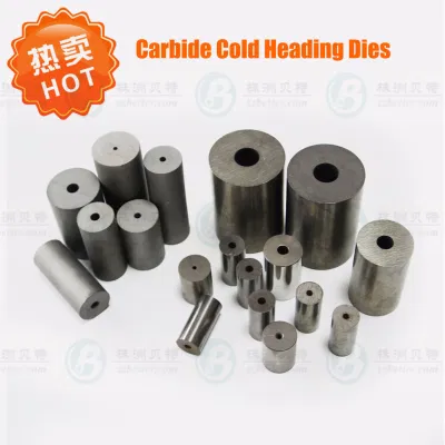  Small Precision Carbide Tungsten Dies for Nail Header Making