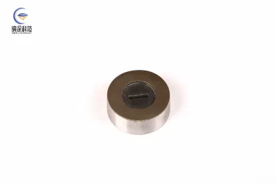CVD Diamond Coated Wire Drawing Die Tungsten Carbide Dies Wire Moulding for Wire Drawing Manufacturing Process