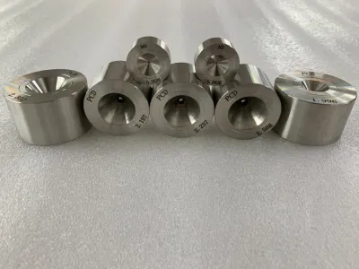 Customized Diamond Mould PCD ND Wire Drawing Dies Diamond Carbide Wire Drawing Die