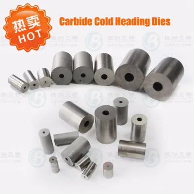 Small Precision Carbide Tungsten Dies for Nail Header Making