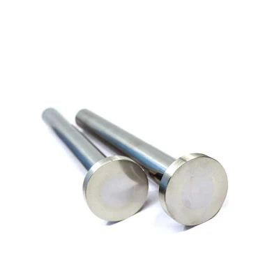 Customized China Manufacturer Hard Metal Alloy Cemented Tungsten Carbide Rod Punch Tool