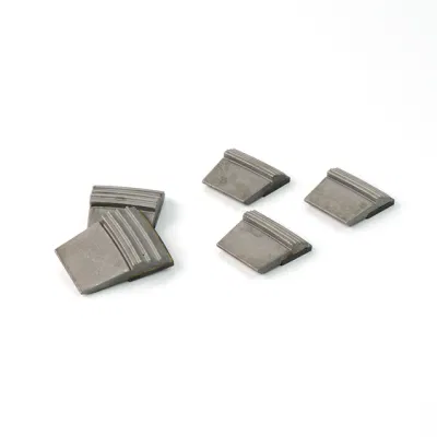 Tungsten Carbide Centrifugal Machine Shaped Wear Tools Parts for Centrifuge