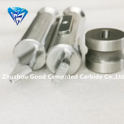 Pharmaceutical Tungsten Carbide Die Mold Zp9 Zp10 Zp12 Zp33