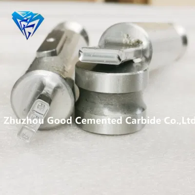 Pharmaceutical Tungsten Carbide Die Mold Zp9 Zp10 Zp12 Zp33