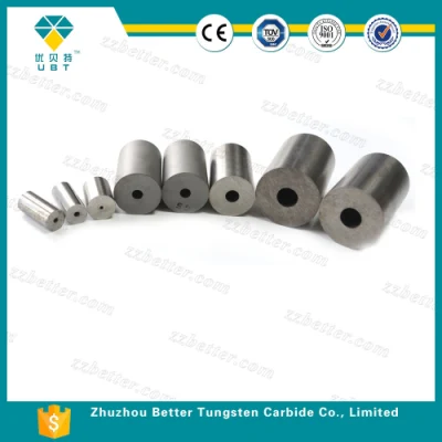 Small Precision Carbide Tungsten Dies for Nail Header Making