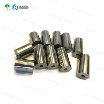 Tungsten Carbide Cold Heading Mold Carbide Punch Die