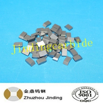 K10 Tungsten Carbide Saw Tip for Wood Cutting in Super Quality
