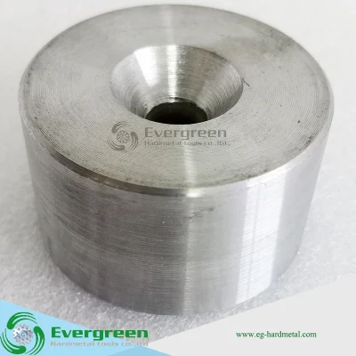 Factory Customized Wear-Resistant Tungsten Carbide Wire Drawing Dies for Screw Machines
