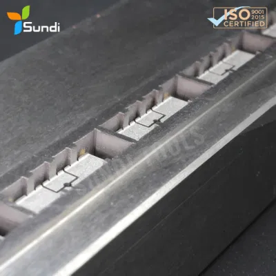 Precision Wire Sinker E. D. M Cutting Tooling Smart Metal Tungsten Carbide Stamping Bar Cut Die for The Semiconductor Industry