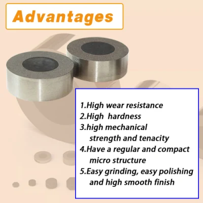 Drawing Mould Wire PCD Drawing Die Blanks Tungsten Carbide Supported Wire Drawing Die Blanks