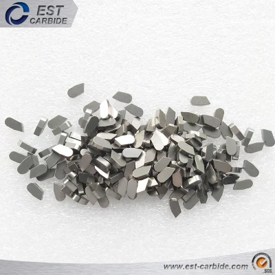Tungsten Carbide Brazed Teeth for Wood Cutting