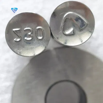 Pill Press Die Round-Shaped Tdp-0, Tdp1.5, Tdp5, Tdp6 Tablet Press Stamps and Die RP10325