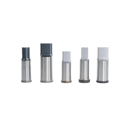 High Precision Stamping Mold Tungsten Carbide Punch Mould for Automobile Die