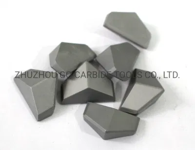 Non-Standard Tungsten Carbide Wear Part with High Performance