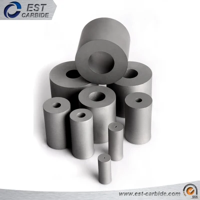 Top Quality Hard Alloy Dies in Different Types