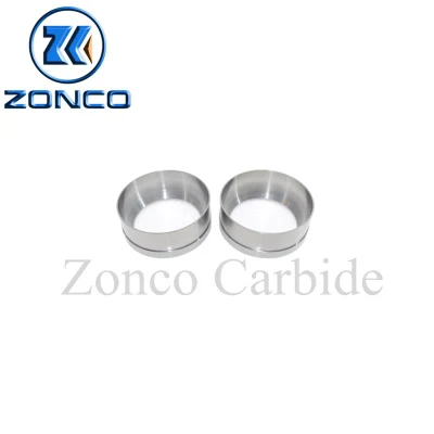 High Wear Resistance Tungsten Carbide Wear Parts with China Manufacturer