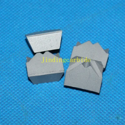 Carbide Die Blank for Samping Nail (flower)