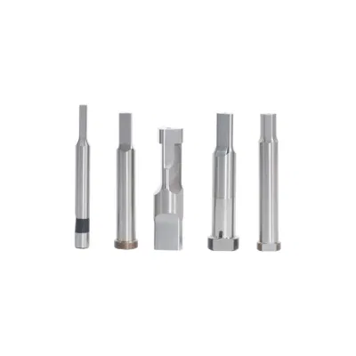 High Precision Stamping Mold Tungsten Carbide Punch Mould for Automobile Die