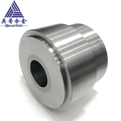 Customized Size High Quality Tungsten Carbide Molds Cold Forming Die