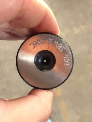 Tungsten Carbide PCD Nano Coating Wire Drawing Mould Drawing Die