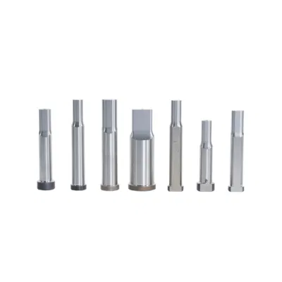 High Precision Stamping Mold Tungsten Carbide Punch Mould for Automobile Die