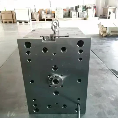Professional Manufacturer OEM PMMA Plastic Injection Mold for Car Spare Parts
