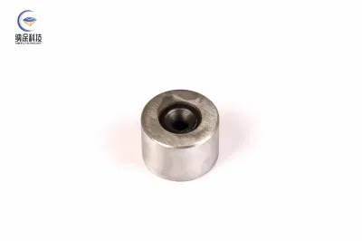 CVD Diamond Coated Wire Drawing Die Tungsten Carbide Dies Wire Moulding for Wire Drawing Manufacturing Process