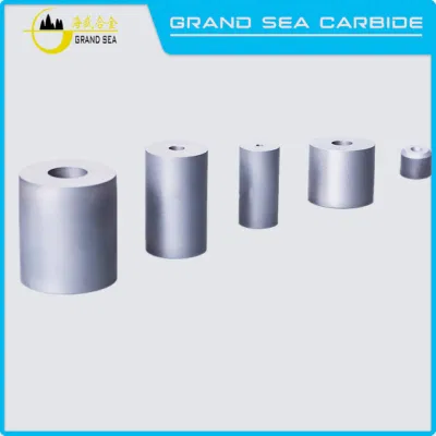  China Tungsten Cemented Carbide Mold Punch Die