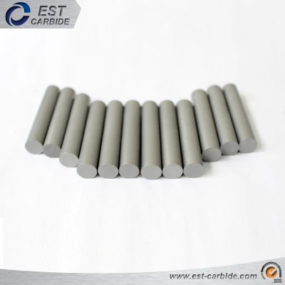 Tungsten Carbide with Best Price