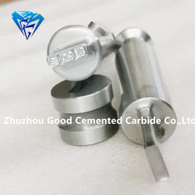 Cemented Carbide Metal Press Mold Tablet Press Mold Zo9 Zp10 Zp12 Zp33 Factory Direct Delivery