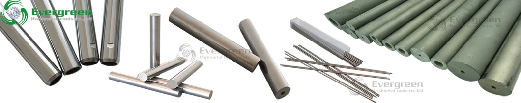 Factory Supply Blank or Finished Tungsten Carbide Rods for Chiselling Granite