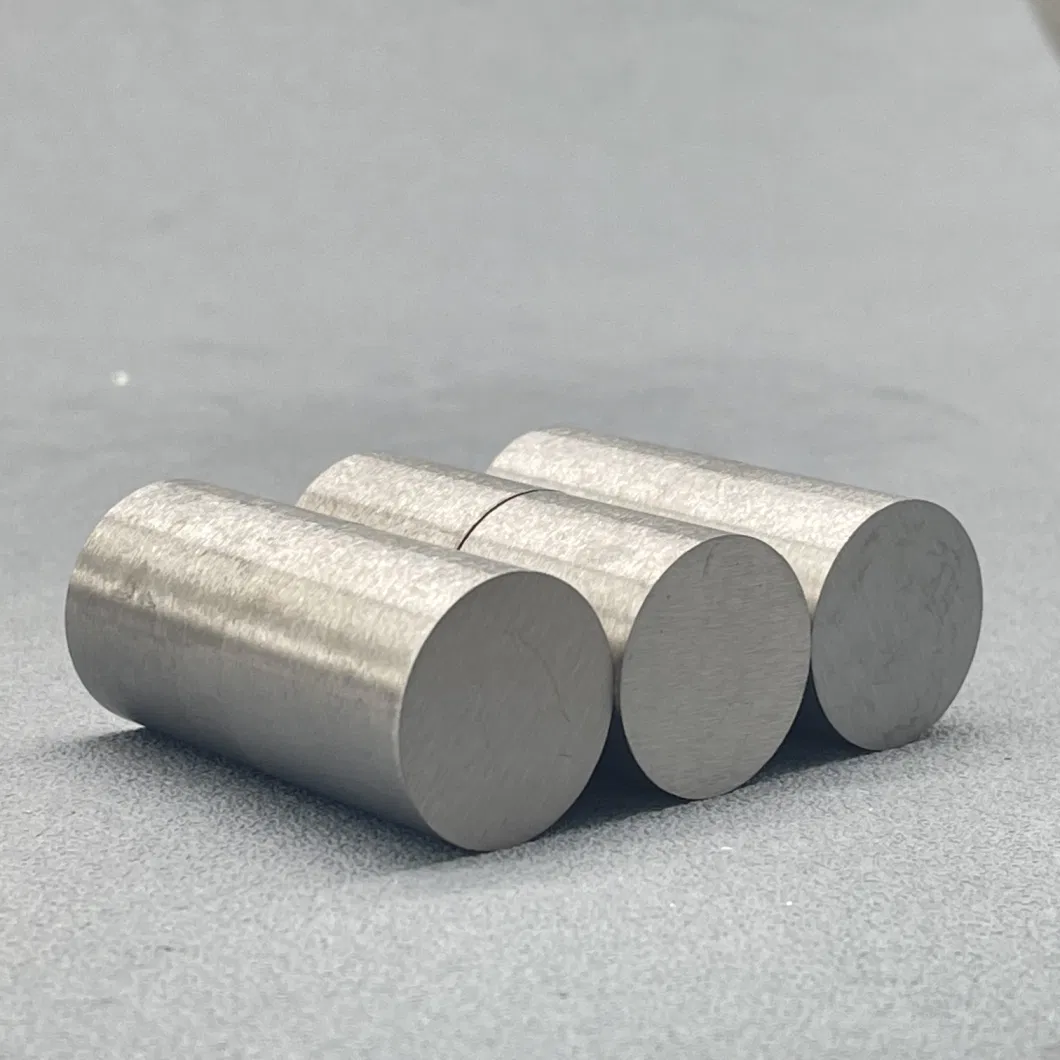 Gw-Professional Factory Made Tungsten Carbide Cold Heading Die for Punching Mould Tool Parts