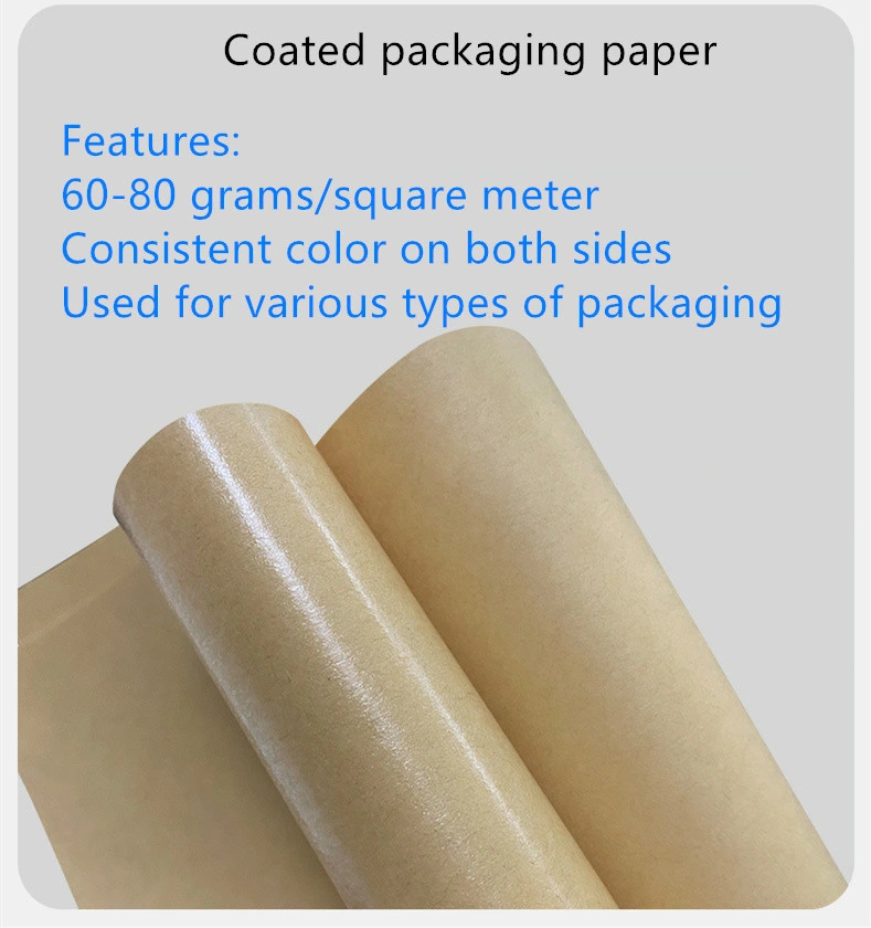 White PE Coated Paper Roll for Cup Paper Raw Materials/Cusomized Grit P40-3000silicon Carbide Coated Waterproof Abrasive Paper