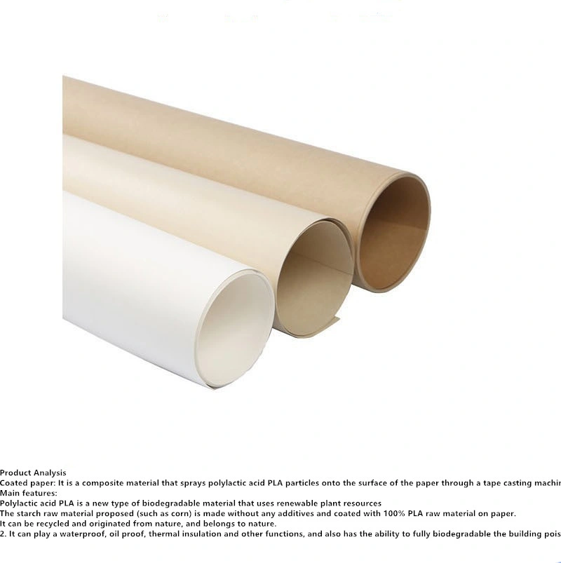 White PE Coated Paper Roll for Cup Paper Raw Materials/Cusomized Grit P40-3000silicon Carbide Coated Waterproof Abrasive Paper